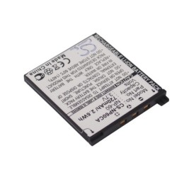 Batterie pour Casio Exilim Zoom EX-S10BE (720 mAh/2.66 Wh, 3.7 V)
