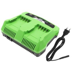 Chargeur pour GreenWorks 2200007