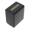 Batterie pour Sony DCR-SR42E (3300 mAh/24.42 Wh, 7.4 V)