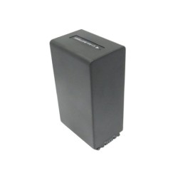 Batterie pour Sony DCR-SR32E (4400 mAh/32.56 Wh, 7.4 V)