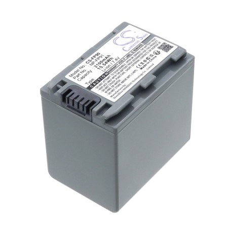 Batterie pour Sony NP-FP90 (2100 mAh/15.54 Wh, 7.4 V)
