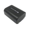 Batterie pour Sony DCR-HC42E (600 mAh/4.44 Wh, 7.4 V)