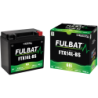 Batterie FTX14L-BS GEL pour TGB 250cc BLADE