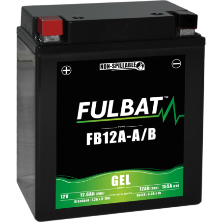 Batterie FB12A-A/B GEL pour ARIENS / GRAVELY CO.    925012