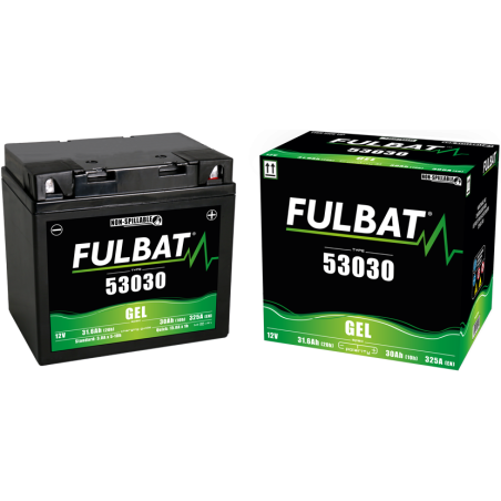 Batterie 53030 GEL pour FERRIS    CTR