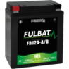 Batterie FB12A-A/B GEL pour GENERAL POWER     WES 725 FS