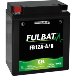 Batterie FB12A-A/B GEL pour J.I CASE    M 80