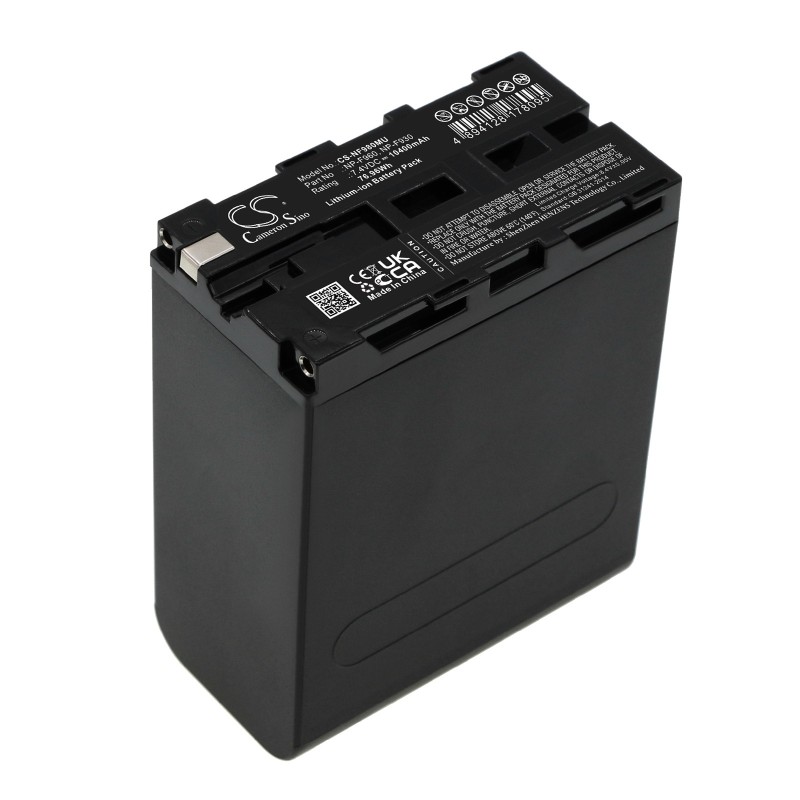 Batterie pour Sony DCR-TRV310E (10400 mAh/76.96 Wh, 7.4 V)