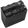 Batterie pour Sony CCD-TRV86PK (10200 mAh/75.48 Wh, 7.4 V)