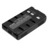 Batterie pour Panasonic NV-RX11EG (2100 mAh/12.6 Wh, 6 V)