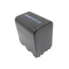 Batterie pour Sony DCR-TRV340 (4200 mAh/31.08 Wh, 7.4 V)