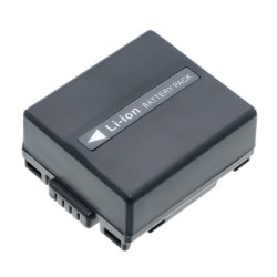 Batterie pour Panasonic VDR-D250EB-S (750 mAh/5.55 Wh, 7.4 V)