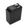 Batterie pour Panasonic HDC-SD1 (4400 mAh/32.56 Wh, 7.4 V)