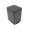 Batterie pour Panasonic HDC-SD100 (3150 mAh/23.31 Wh, 7.4 V)