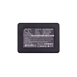 Chargeur pour GoPro BC-GP5C