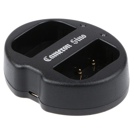 Chargeur pour Panasonic DMW-BLF19E
