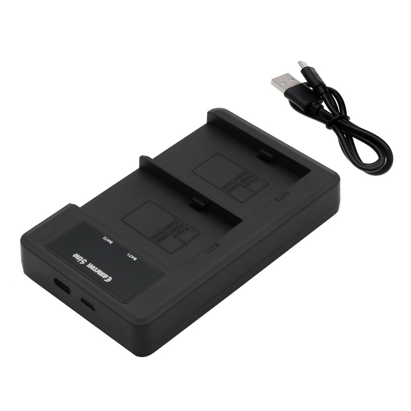 Chargeur pour Sony DCR-TRV950E