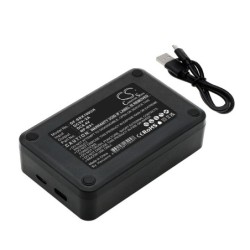 Chargeur pour Sony HDR-PJ440