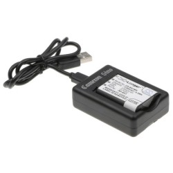 Batterie pour Sony DSC-RX1