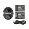 Batterie pour Panasonic DMW-BLF19PP