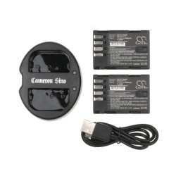 Batterie pour Panasonic DMW-BTC10G