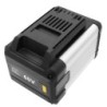 Batterie pour ENVIRO EP3640 (5000 mAh/300 Wh, 60 V)