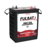 Batterie FULBAT FDC6-350 350Ah 6V