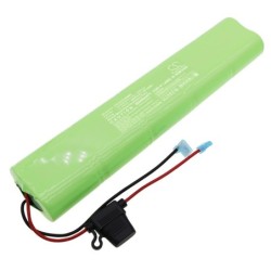 Batterie pour Bison 80 (5000 mAh/60 Wh, 12 V)
