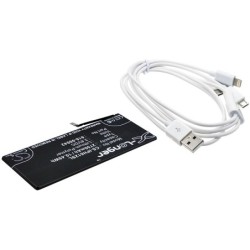 Batterie pour Apple 616-00042