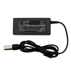Batterie pour IZIP I-300
