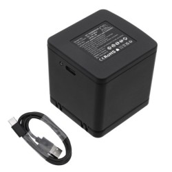 Chargeur pour GoPro SPBL1B
