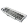 Batterie pour Sony VAIO VGN-C2S/P (6600 mAh/73.26 Wh, 11.1 V)