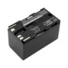 Batterie pour Canon EOS C100 (5200 mAh/38.48 Wh, 7.4 V)